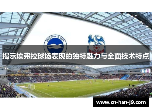 揭示埃弗拉球场表现的独特魅力与全面技术特点 揭示埃弗拉球场表现的独特魅力与全面技术特点
