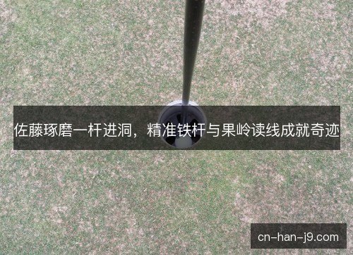 佐藤琢磨一杆进洞，精准铁杆与果岭读线成就奇迹